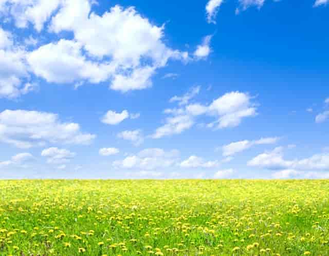 全息摹复 焕彩流丹 ——和林格尔东汉墓室壁画整体摹复及中国古代壁画的非本体再现展学术研讨会将在上海举办