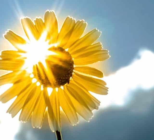 朴鑫首席运营官小云辞职 此前分管OMO项目组和朴鑫网络学校等部门