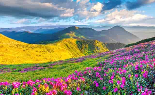 新东方与美国薛乐达成战略合作 新东方儿童推出《大红狗Clifford》系列读物