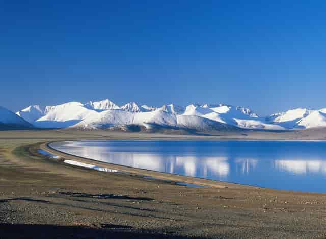 袖虎养猫疑问：它居然流红色的泪？！