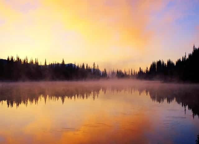 知乎携手京东、品牌商家，共创 11.11 家电家居消费指南