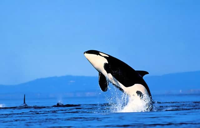 地铁一个站点面积