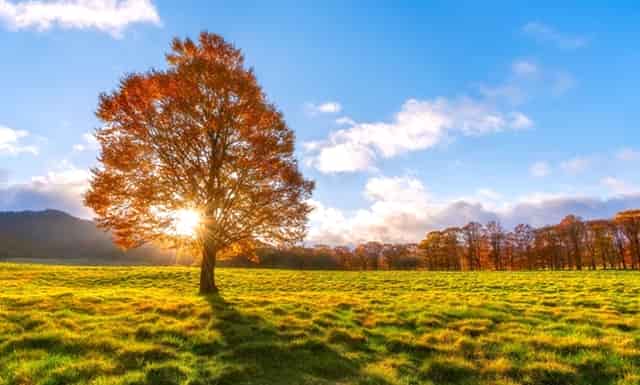 知乎✖别克GL8丨拆车实测，揭秘mpv标杆那些深藏不漏的细节