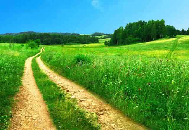 袖虎宠物商业调查：开宠物店如何采购活体资源