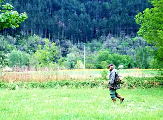 艾雪教育集团宣布 它已收到近2亿美元的D2回合融资