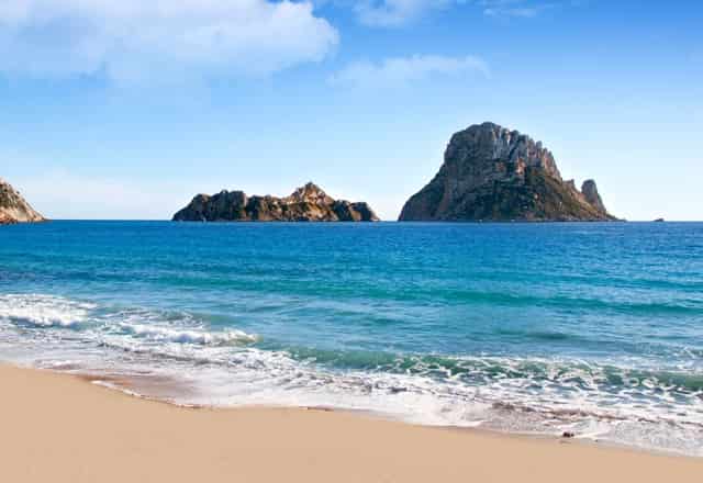 袖虎病狗攻略：狗狗体臭怎么办