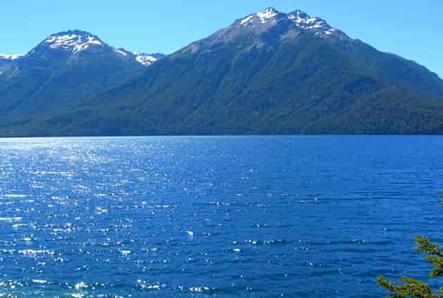 袖虎宠物为你揭露宠物行业加盟套路