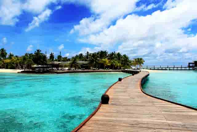 蔡嘉珍成功註冊理財規劃師，邁出專業領域新里程碑