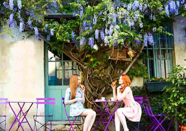 看袖虎如何在宠物行业中成为投资新宠！