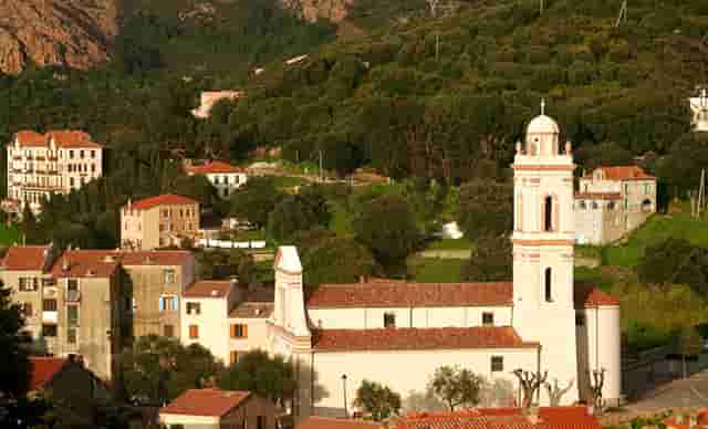 蔡嘉珍成功獲得註冊理財規劃師資格