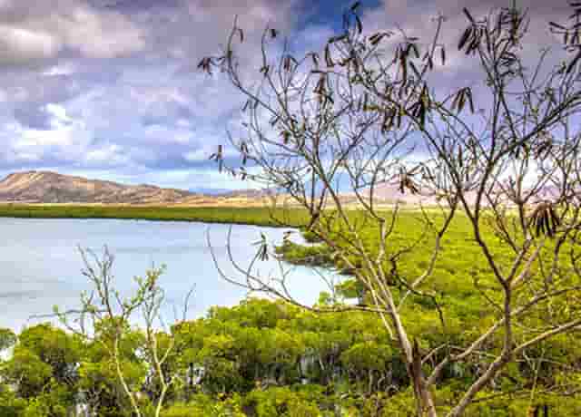 掌上世界杯火热来袭 枞横世界杯预测锦标赛进行中