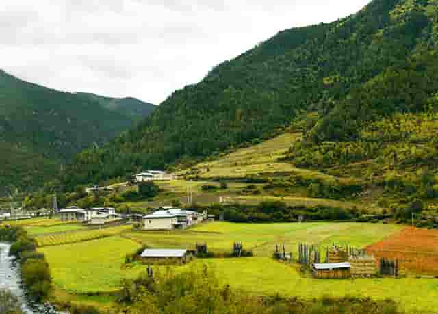 千车万人自驾中国“醉”美草原“99号公路”之旅暨《99号公路》网络微短剧项目启动