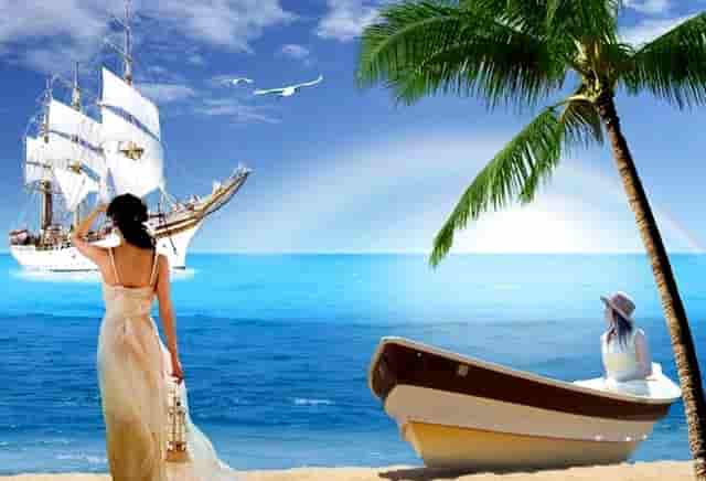 袖虎病猫攻略：买到猫癣的猫怎么办