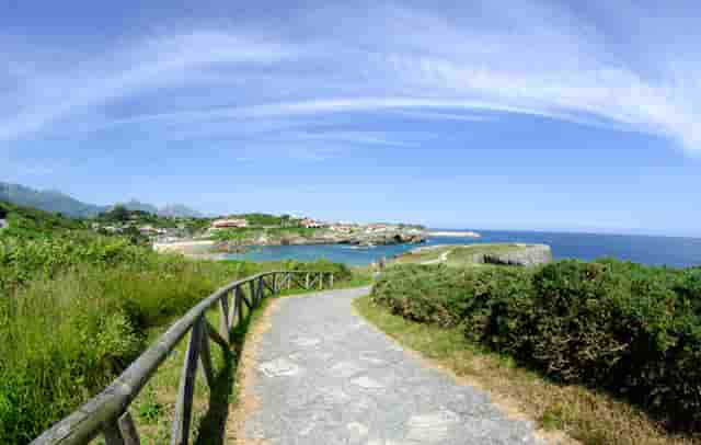 袖虎病狗攻略：犬瘟热是怎么回事